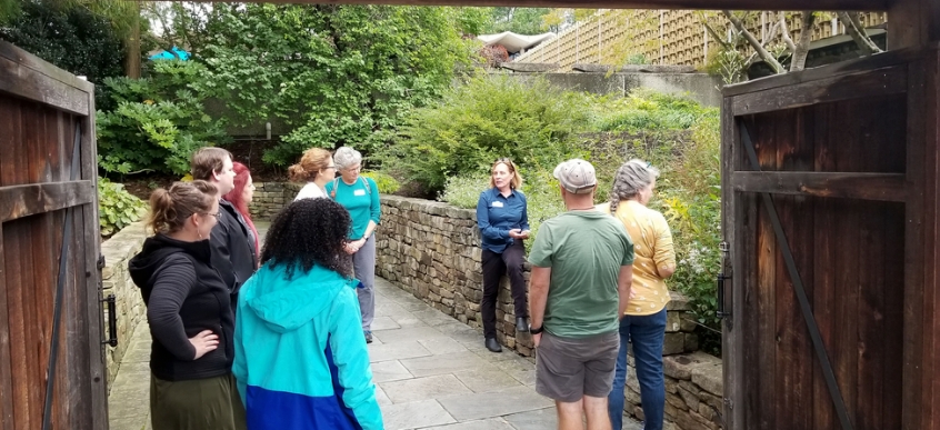 Forest Bathing Guru to Host Multiple Museum Meditation Sessions
