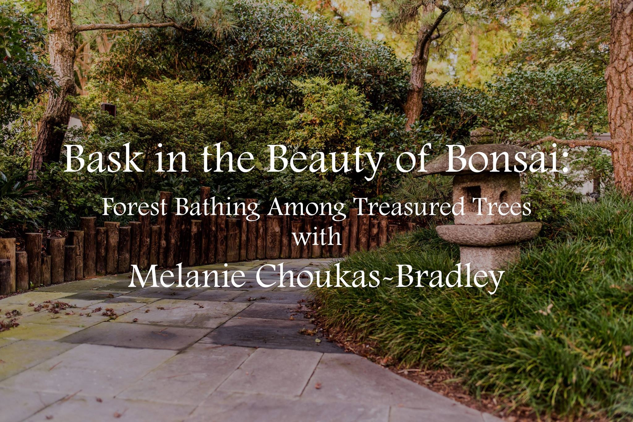 Sign Up | National Bonsai Foundation