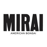 Feminine / Masculine | Bonsai Mirai