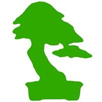 Bonsai Wire