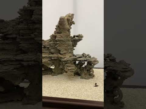 Viewing stones (Suiseki) #japanese #suiseki #stones #art #bonsai