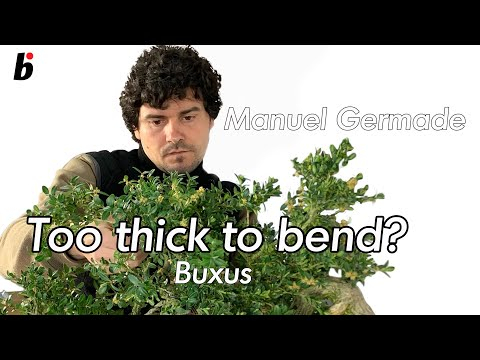 Too thick to bend? part 3