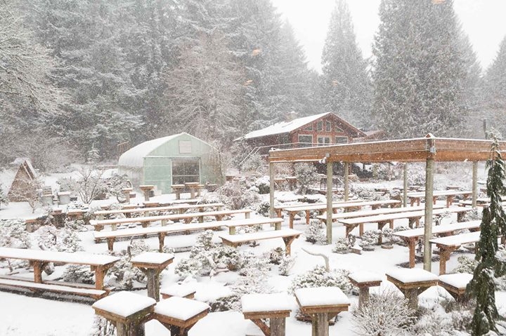Happy Super Snowy Tuesday everyone! See you in the