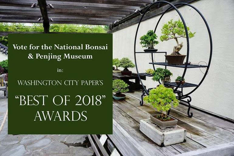 Vote for the National Bonsai & Penjing Museum | Bonsai Bark